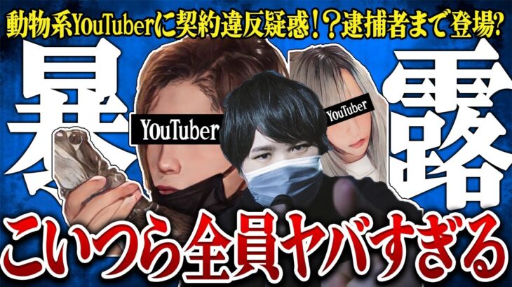 【コレコレ】逮捕者まで！？人気動物系YouTuberが家事代行業者とトラブル…コレコレさん驚愕の内容とは…