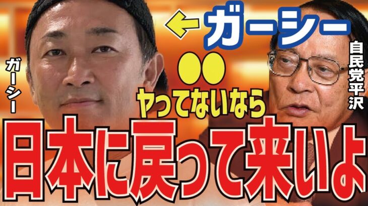 【ガーシー】１度日本に帰って来いby自民党平沢先生！！【三崎優太 切り抜き 青汁王子】