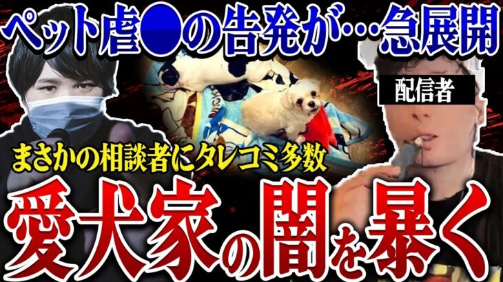 【最新ツイキャス】愛犬家の闇…ペット虐●を告発した配信者がヤバすぎる…コレコレが捉えた疑惑とは…