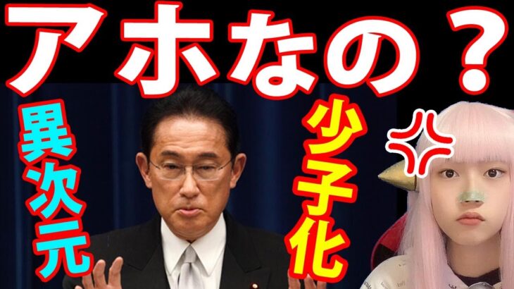 岸田総理の 異次元過ぎる 少子化対策に苦言！岸田首相【明石市長 フランス ハンガリー 最新情報 異次元 増税】