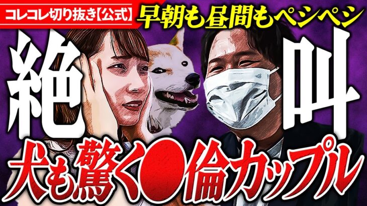 爆笑【隣家から聞こえるアレの声】大絶叫に犬も怯え…対策はなんとコレコレの… #コレコレ切り抜き