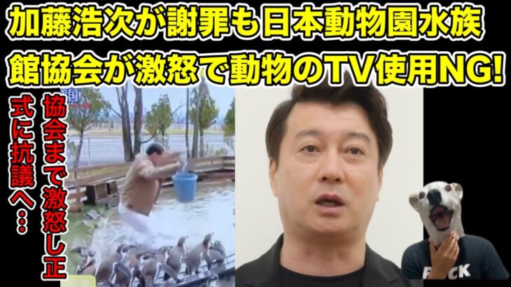 動物は今後テレビNG!スッキリで加藤浩次が謝罪も日本動物園水族館協会が激怒…!【那須どうぶつ王国・オードリー・春日・若林・ペンギン・動物福祉・謝罪・炎上】