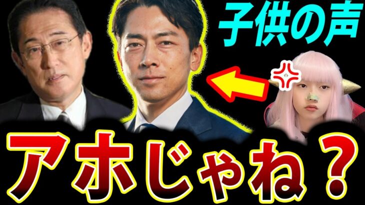 「子供の声は騒音じゃない」法律で定める！小泉進次郎　は？【異次元の少子化対策 子供の騒音問題 政府 最新情報】