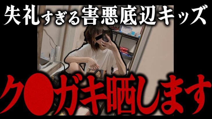 【イキリチー牛】会話が全く成り立たない最底辺のク●ガキ共…あまりにも頭が悪く失礼すぎるカップルにコレコレブチギレ…