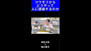 【堀江貴文】】コウモリから人間にどうやって感染するの？【ホリエモン 切り抜き】 #Shorts