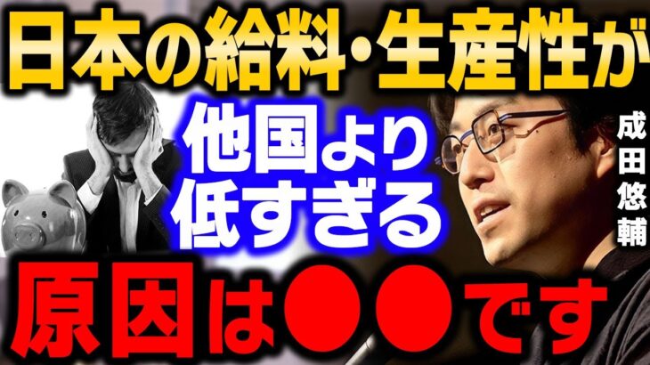 【成田悠輔】※日本の給料・生産性が低すぎる原因は●●です【成田祐輔/なりたゆうすけ/経済/ビジネス】