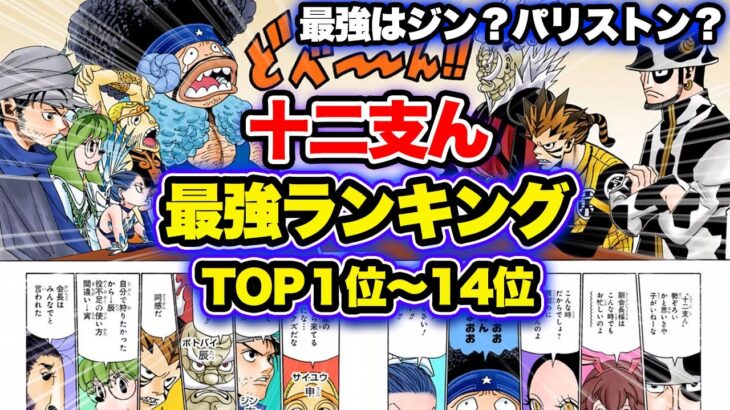 【ハンターハンター考察】十二支んの強さランキングTOP14！！最強はジン？パリストン？気になるメンバーの強さが明らかに！！【HUNTER×HUNTER】