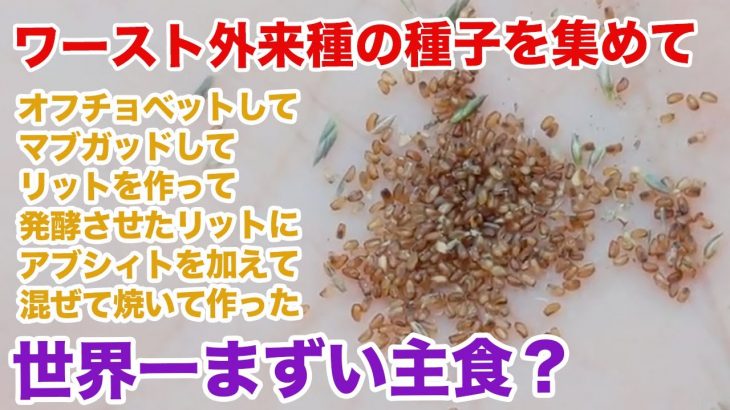 多摩川にはびこるワースト外来植物の種で、世界一まずいと噂のパン「インジェラ」を作る