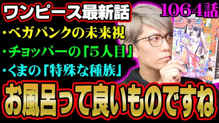 ベガパンクの正体判明！？くまに隠された秘密がヤバい！黒ひげvsローの決着は！？【 ワンピース 1064話 最新話 考察 】 ※ジャンプ ネタバレ 注意