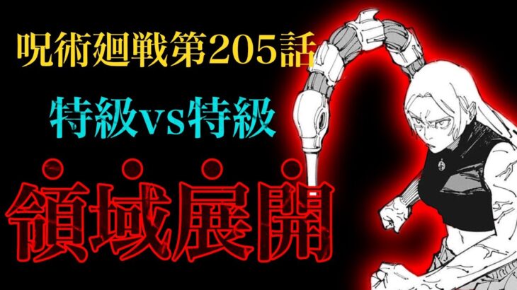 【呪術廻戦 第205話】特級術師・九十九由基の術式がやばすぎる……【解説・考察】※ネタバレ注意