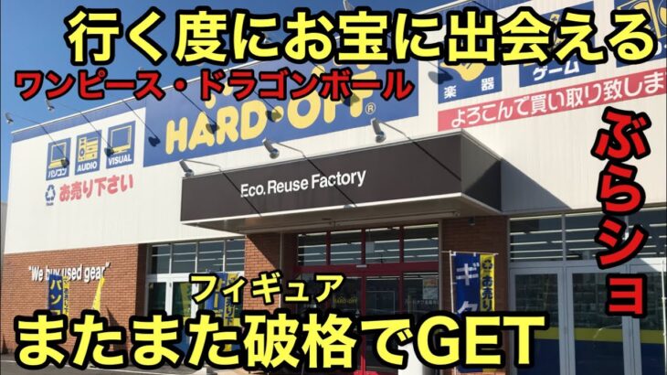 あのフィギュアが相場の半額以下だったので即買いしました！このお店、販売価格がいつもヤバい！ワンピース ドラゴンボール フィギュア 一番くじ【ブラショ】#ハードオフファミリー