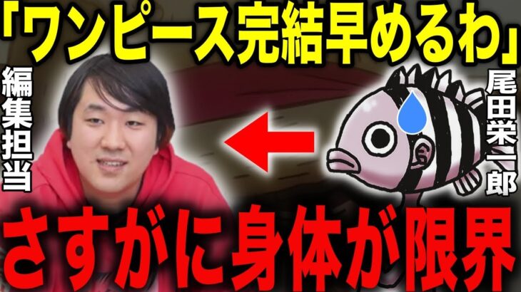 来年ワンピース終了！？尾田先生の「2024年にワンピース完結します」発言に対して編集担当の内藤氏が語った内容についての読者の反応集【ワンピース】