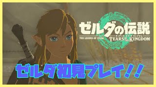 【ゼルダの伝説 ティアーズ オブ ザ キングダム】ネタバレ注意！気温が高くなってまいりました(*’ω’*)