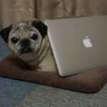 MacBook Pro Late 2013 新型 Retina を開封！パグのスペック？