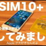 SIMロック解除アダプタR-SIM10+レビュー／SIMロックされたiPhoneで格安SIMを使えるか