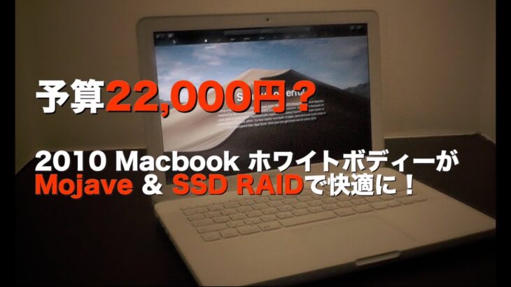 2010 Macbook Mojave SSD RAID アップグレード ＆レビュー