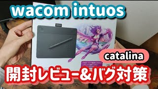 【Wacom Intuos】おすすめペンタブのレビューと不具合対応【MacBookにおける認識バグの対策】