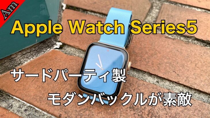 Apple Watch Series5 サードパーティ製モダンバックルレビュー Workings