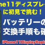 【ジャンク修理】iPhone11のディスプレイ交換（画面・液晶）に挑む！ついでにバッテリー交換の手順も確認！