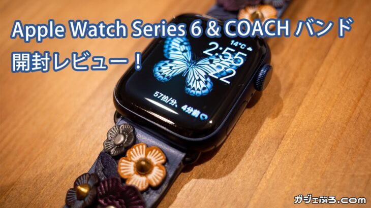 ついに初購入！Apple Watch Series 6（ブルー） & COACH バンド 開封レビュー！