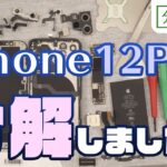 iPhone12Pro 分解しました【分解工房】