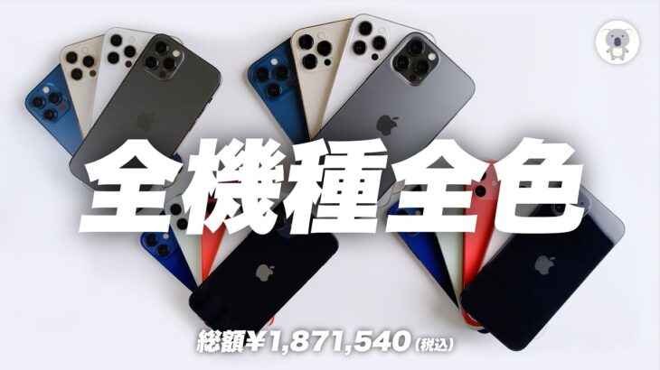 iPhone12シリーズ全機種全色レビュー！【日本で一番早く全機種揃った動画】