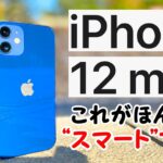 【買うならmini!】iPhone 12 miniを12 Proと比較レビュー!写真、5G、電池持ちなど検証!