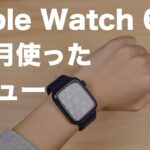 Apple Watch 6を7ヶ月使ったレビュー！よく使っている機能とSEではダメな理由
