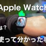 【Apple Watch SE 長期レビュー】半年使って伝えたいこと3選！【サウナ使用】