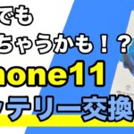 【iPhone11 バッテリー交換】元修理スタッフが教える！バッテリー交換の仕方《iPhone Repair》