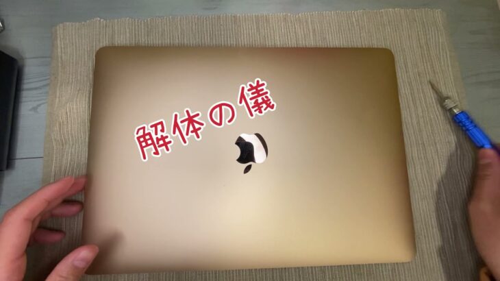 【レビュー】水没したM1 MacBook Air 8GBを解体しました