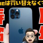 iPhoneの寿命は８年？iPhoneを買い替えなくていい理由！と、iPhoneの過充電問題について【Appleとーーーく１１２】