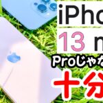 【13miniで十分⁈】ピンクのiPhone 13 miniを1日使い倒したレビュー!13 Proとの比較もします