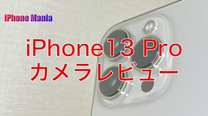 【レビュー】iPhone13 Proのカメラ機能を試す～マクロ撮影・光学3倍ズーム・ナイトモード・シネマティックモード