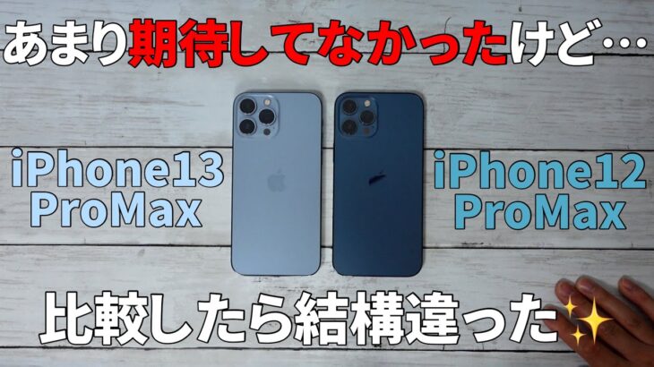 iPhone13 ProMaxと12Pro Maxのカメラ比較したら結構違った！比較レビュー！【マクロ撮影/シネマティックモード／6.7インチ】