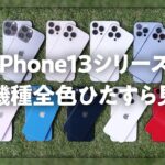 iPhone13全機種全色をひたすら見る動画【iPhone12シリーズとも比較】★無音で色に集中👀★