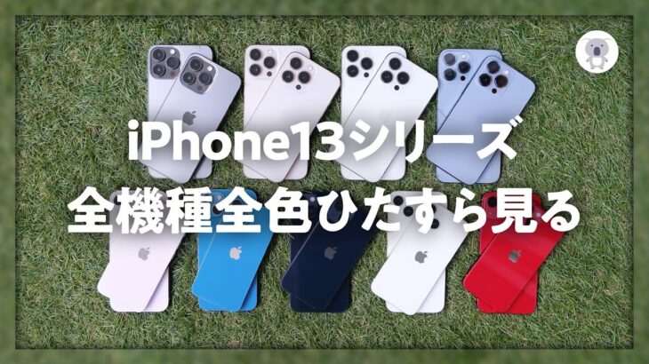 iPhone13全機種全色をひたすら見る動画【iPhone12シリーズとも比較】★無音で色に集中👀★