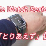 本命ケースまでの繋ぎで「Apple Watch Series 7用TPUケース（45mm）」を買ってみた【とりあえず保護したい人向け】