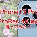 【レビュー】iPhone13 Proで「ProRes」4K動画撮ってみた
