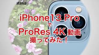 【レビュー】iPhone13 Proで「ProRes」4K動画撮ってみた