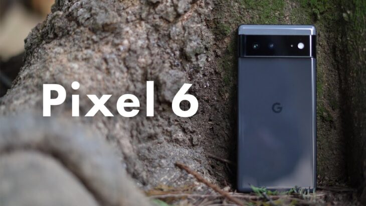 Pixel 6 レビュー：Googleの高コスパスマホ爆誕