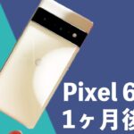 Pixel 6 Pro使用1ヶ月後本音レビュー！発熱・指紋認証は大丈夫？Googleが本気出した独自の機能が便利すぎる一台！