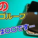 【裏技!?】メルカリで買ったリンゴループのジャンクiPhoneXを復活させます