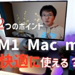 M1Mac mini を動画編集に使ってみた感想と設定【設定の2つのポイント解説】