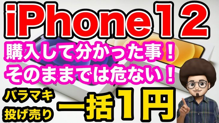 【一括1円の罠】iPhone12を一括一円で購入！！実際にかかった料金は？契約プランや条件を詳しく解説！！iPhone激安1円　投げ売り、バラマキ