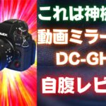 【自腹レビュー】最強コスパの動画カメラ！DC-GH6が凄すぎて神機な件【Panasonic】