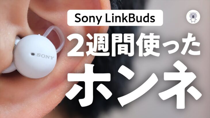 Sony「LinkBuds」は買いなのか？良いとこも悪いとこも2週間のガチレビュー。