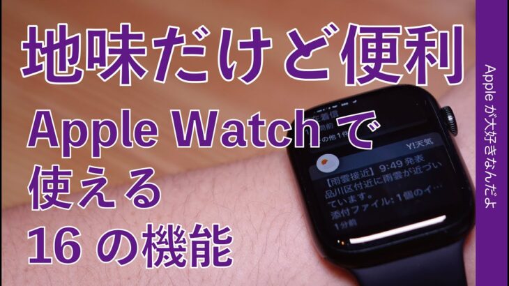 Apple Watchで地味だけど便利に使える16の機能