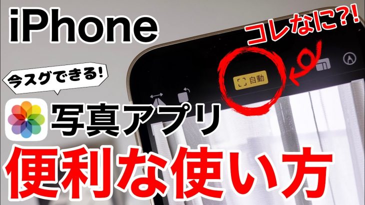 iPhone 写真アプリ 使わないと損する機能を解説!誰でもカンタンに良い写真が撮影出来るテクニックも紹介