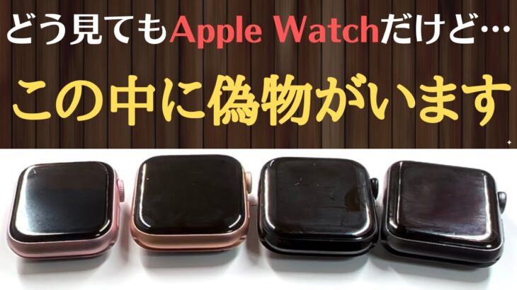 【アヒル】Apple Watchが2,500円で買える！？…と思ったら超絶酷かった。【中華の闇・スマートウォッチ HW12 レビュー】偽物AliExpress購入品